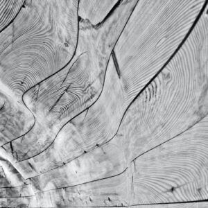 ricardo gomez angel 5TctPMlipNU unsplash